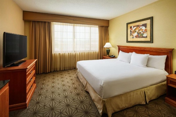 Embassy Suites By Hilton Hotel Columbia-Greystone image 28